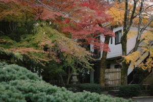 Oukai Villa Izumi - Guest Experiences and Reviews