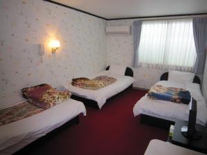 Pension Kitashirakawa - Accommodation Options
