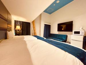 Phoenix Park Hotel - Accommodation Options