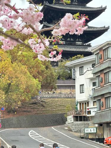 Ryokan Kousen Kazeya Group - Accommodations
