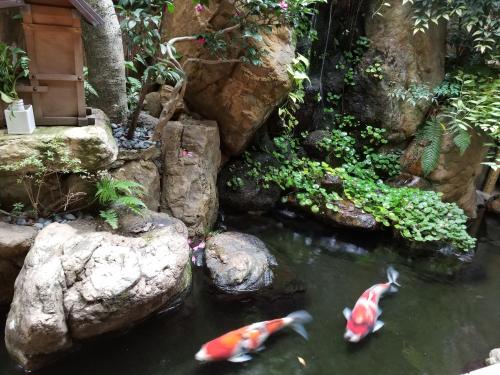 Ryokan Sawaya Honten - Location