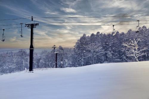 SKI INN HAKUBA - Room Types and Amenities