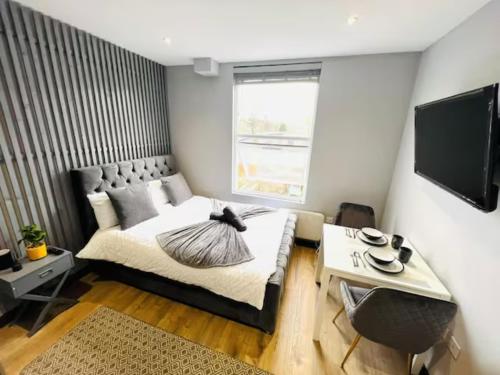 Studios Next to Emirates Stadium - Accommodation Options