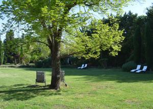 The Domain of Euphony - Guest Experiences and Amenities