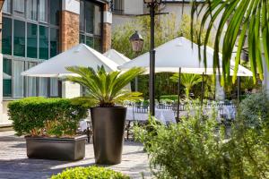 The Gardens of Marais - Accommodations and Amenities