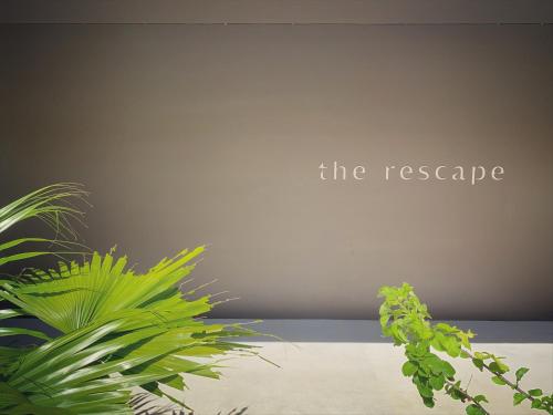 The Rescape Review