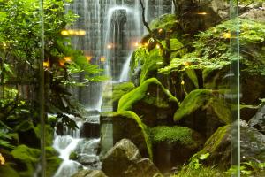 Tokiwa - Accommodation and Amenities