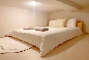 Tokyo Ikebukuro House in Yōgai - Guest Experiences