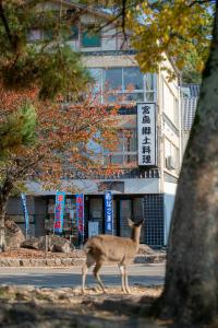 Yamaichi Bekkan - Accommodation Offerings