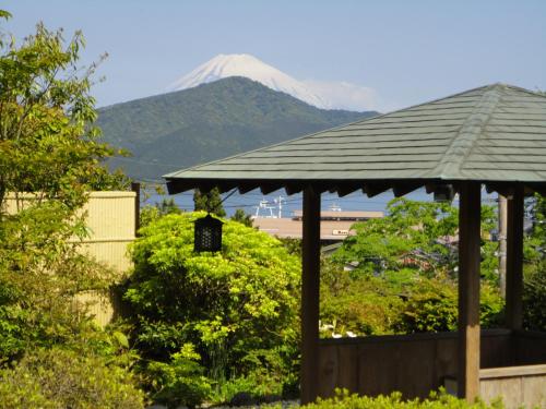 Yoshimatsu - Guest Experience Highlights