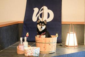 Yururi Nishiizu - Accommodation Features