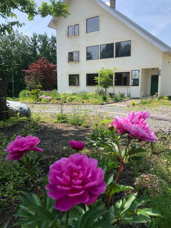 Auberge Ninguruforet Review
