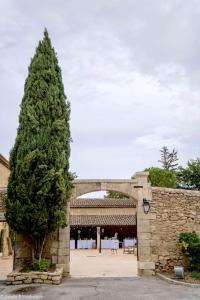 Domaine De La Reynaude - Dining Experience and Guest Feedback