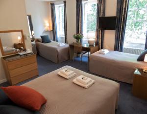 Euro Hotel - Room Types and Amenities