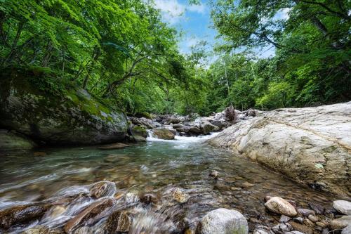 Hacho No Yu - Onsen Experience