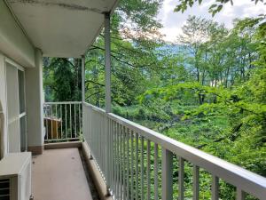 Hakuba Inn Bloom - Room Types