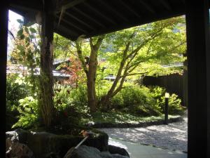 Hidaji (Adult Only) - Dining Experience