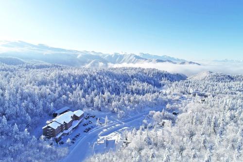Higashikawa Asahidake Onsen Hotel Bear Monte - Nearby Attractions and Activities