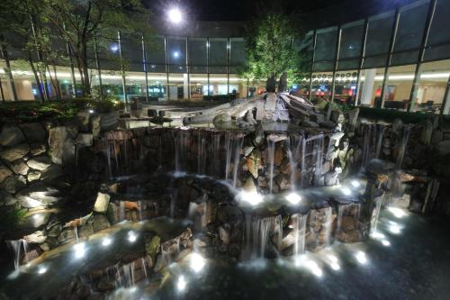 Hilton Tokyo Narita Airport - Amenities and Facilities