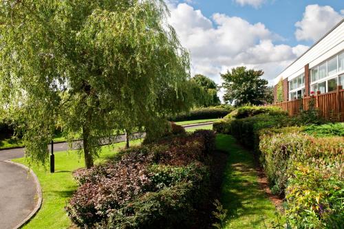 Holiday Inn Washington, an IHG Hotel - Spacious and Comfortable Accommodations