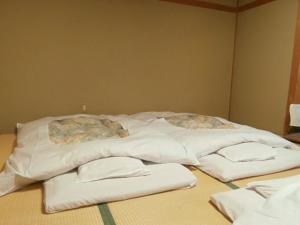 Hoshikawakan - Room Amenities