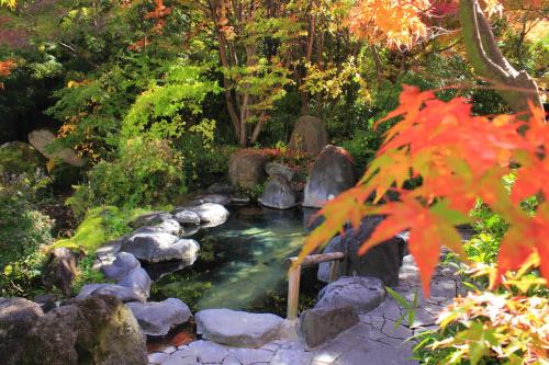 Kasuga No Mori - Accommodation Options