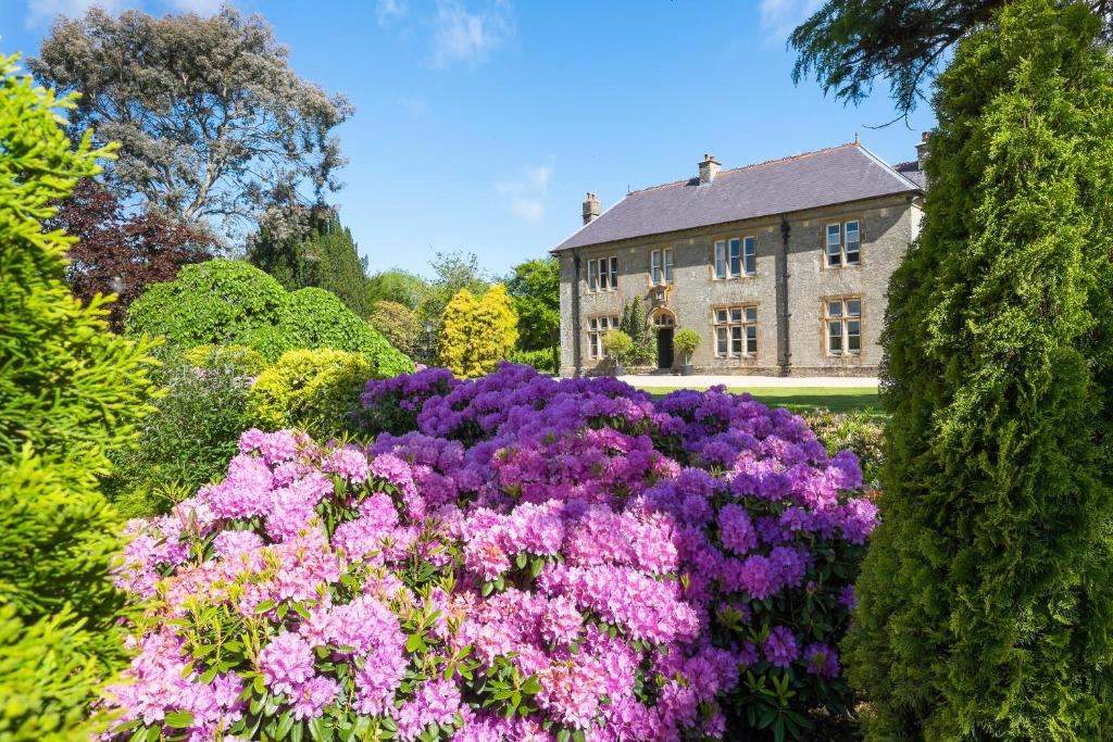 Kentisbury Grange - Locally Sourced Dining Delights