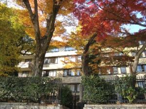 KKR Kyoto Kuniso - Good To Know
