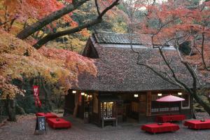 Kotonoyado Musashino - Guest Experiences and Feedback