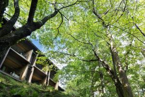 Laforet Shuzenji Sanshisuimei - On-Site Amenities