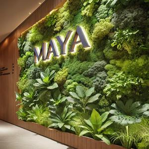 MAYA Appartements & Suites - Amenities and Facilities