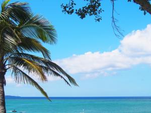 Pension Moon Villa - Accommodation Features