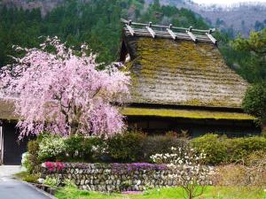 Ryokan Chinsen-Rou - Amenities and Facilities