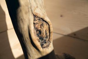 Ryokan Mokuzin - Dining Experience