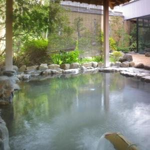 Ryokan Yukeikohan Suitenkaku - Facilities and Services