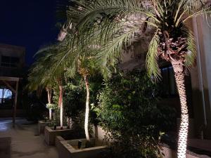 Seven Residence Music - Overview and Location