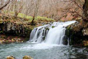 Tateshina BASE Kitchen, Spa & Hotel - Guest Experience and Reviews