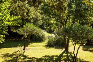 The Bastide Du Calalou; BW Signature Collection - Dining and Activities