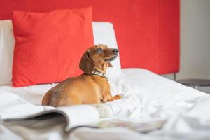 The Clifton Hotel Bristol - Accommodation Options