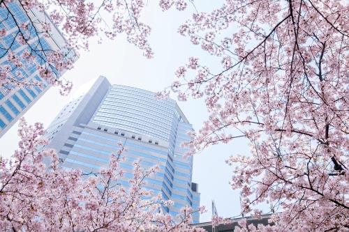 The Strings by InterContinental, Tokyo, an IHG Hotel - Guest Ratings and Reviews