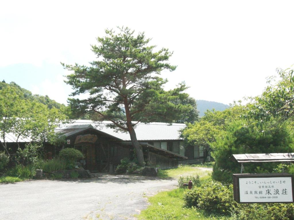 Tokonamiso Review