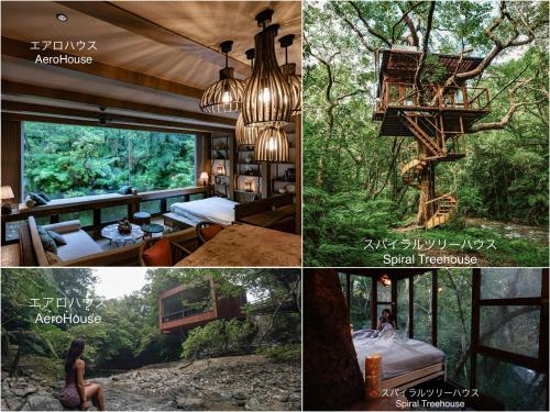 Treeful Treehouse Sustainable Resort - Guest Experience and Reviews