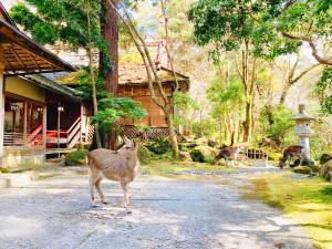 Tsukihitei Review - Guest Experience Highlights
