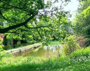 Wortley Hall Sheffield - Dining and Cuisine