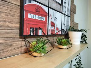 43 Shinjuku Central Inn, 5 Mins to Station, Max 3, Directly Accessible to Shinjuku, Near Takadanobaba, With a Shared Bath and a Wooden Floor With a Silver Seat, Original Accommodation - House Rules and Policies