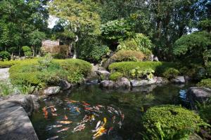 ABBA Resorts Izu – Zagyosoh Review - Dining Experience