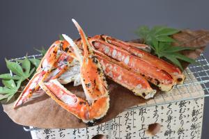 Asagiriso - Policies and Regulations