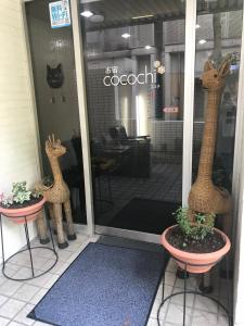 Cocochi Inn - Room Features