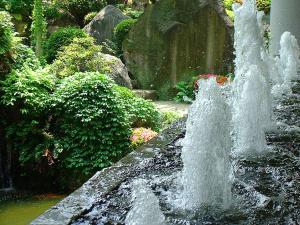 Daikanso - House Rules and Policies