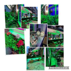 Danescourt Lodge - Location and Accessibility